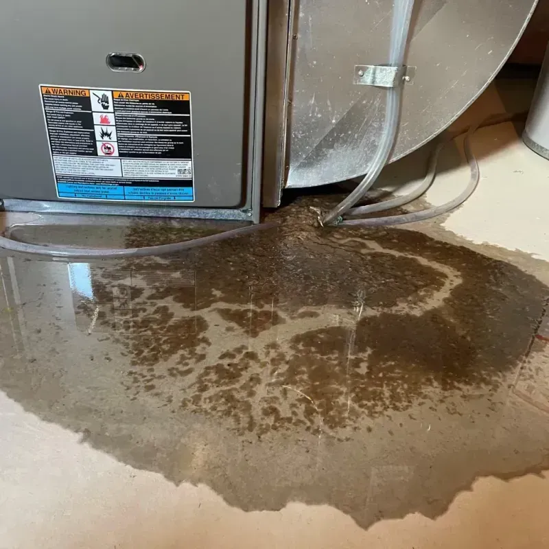 Appliance Leak Cleanup in Greenvale, NY